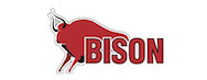 Спортивное питание Bison